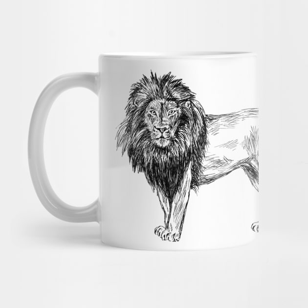 Lion Image by rachelsfinelines